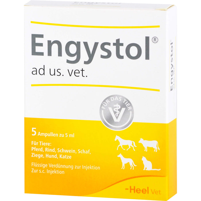 Engystol ad us. vet. Ampullen, 5 pc Ampoules