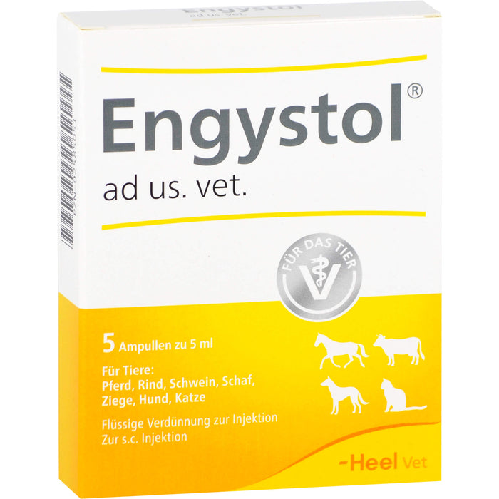 Engystol ad us. vet. Ampullen, 5 pcs. Ampoules