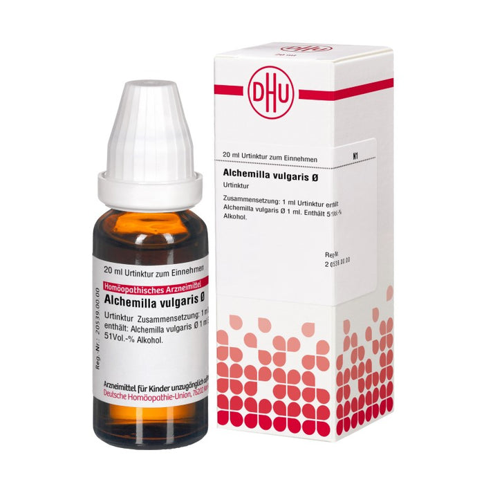 DHU Alchemilla vulgaris ø Urtinktur, 20 ml Lösung