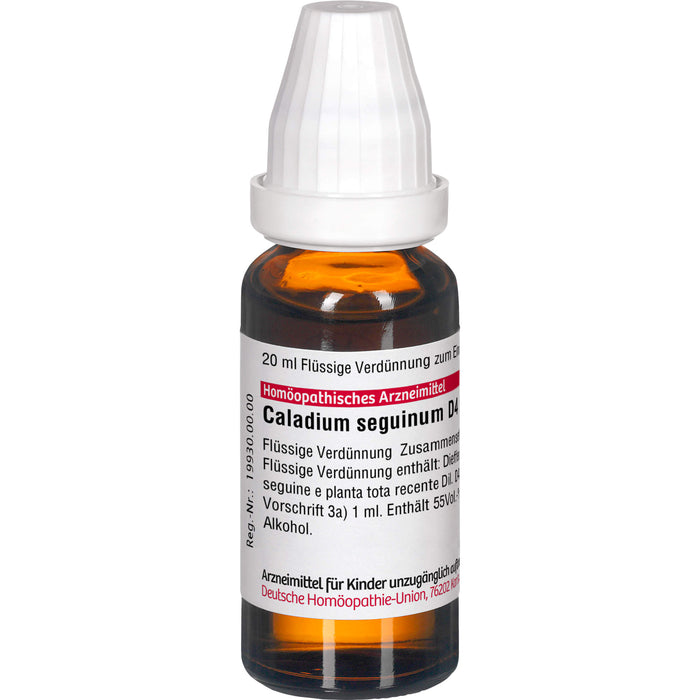 DHU Caladium seguinum D4 Dilution, 20 ml Lösung