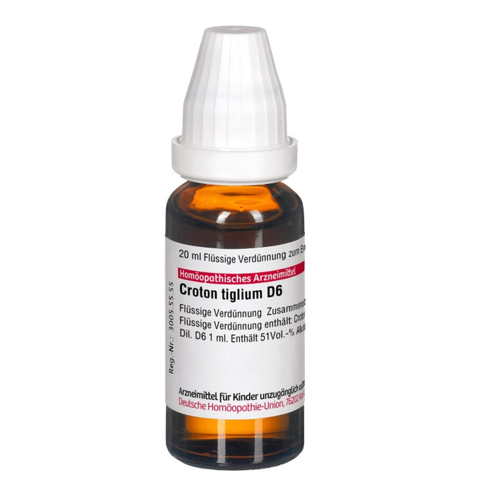 Croton tiglium D6 DHU Dilution, 20 ml Lösung