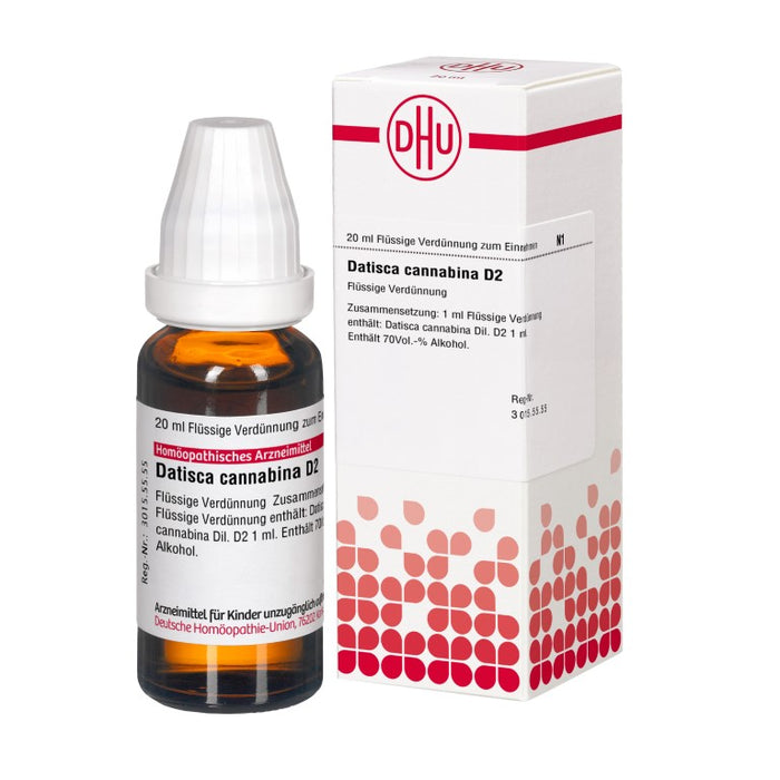 Datisca cannabina D2 DHU Dilution, 20 ml Lösung