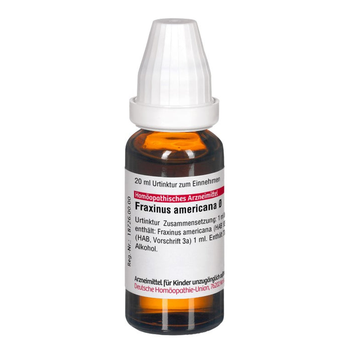 DHU Fraxinus americana ø Urtinktur, 20 ml Lösung