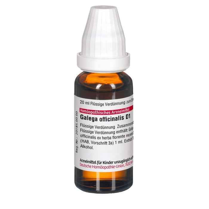 Galega officinalis D1 DHU Dilution, 20 ml Lösung