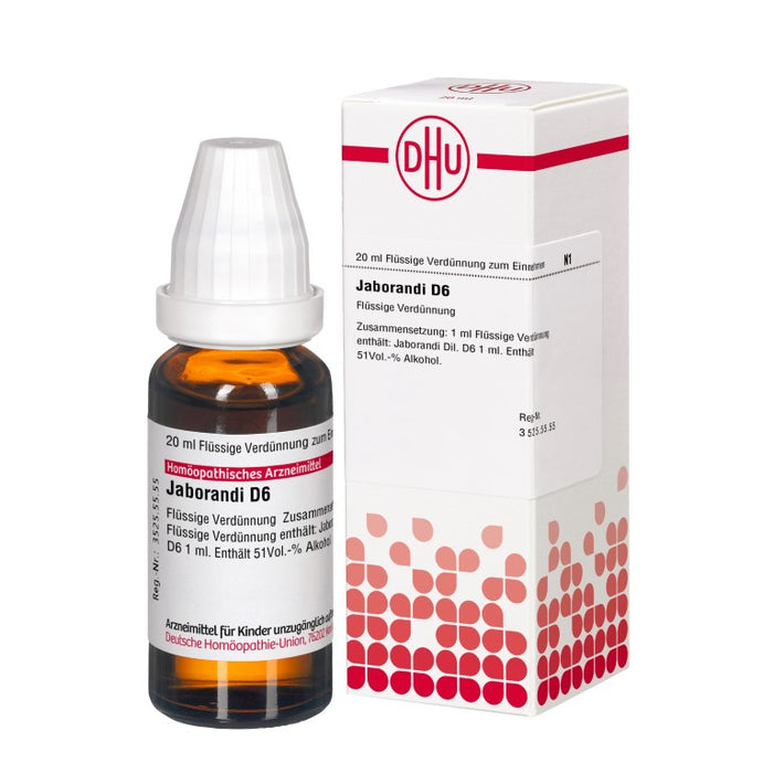 Jaborandi D6 DHU Dilution, 20 ml Lösung