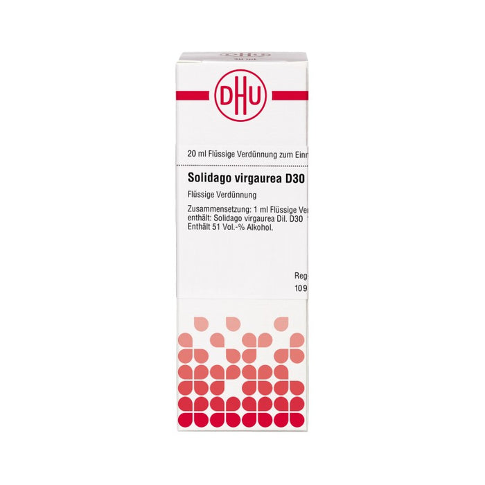 DHU Solidago virgaurea D30 Dilution, 20 ml Lösung