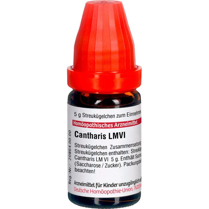 DHU Cantharis LM VI Streukügelchen, 5 g Globules