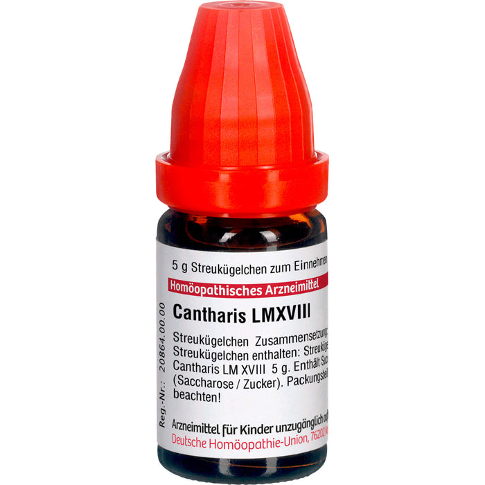 DHU Cantharis LM XVIII Streukügelchen, 5 g Globules