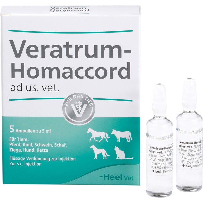 Veratrum Homaccord Vet, 5 St AMP