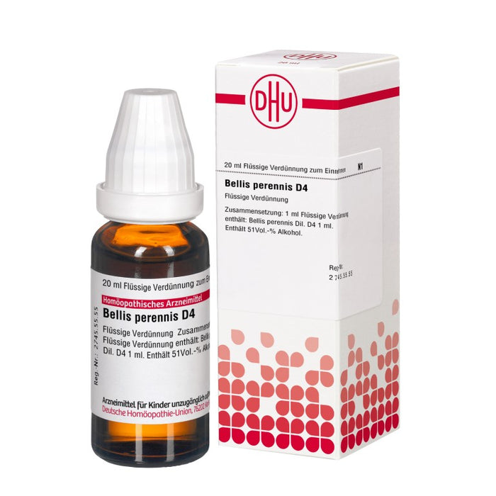 DHU Bellis perennis D4 Dilution, 20 ml Lösung