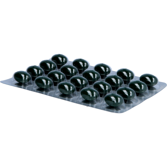 ALSIDIABET Mikro-Durchblutung Kapseln, 60 pc Capsules