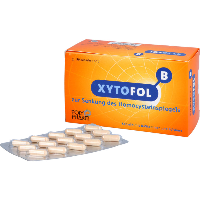 XYTOFOL B Kapseln zur Senkung des Homocysteinspiegels, 90 pc Capsules