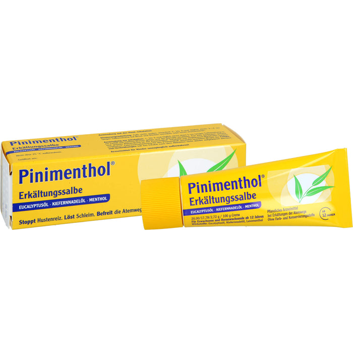 Pinimenthol Erkältungssalbe, 20 g Cream