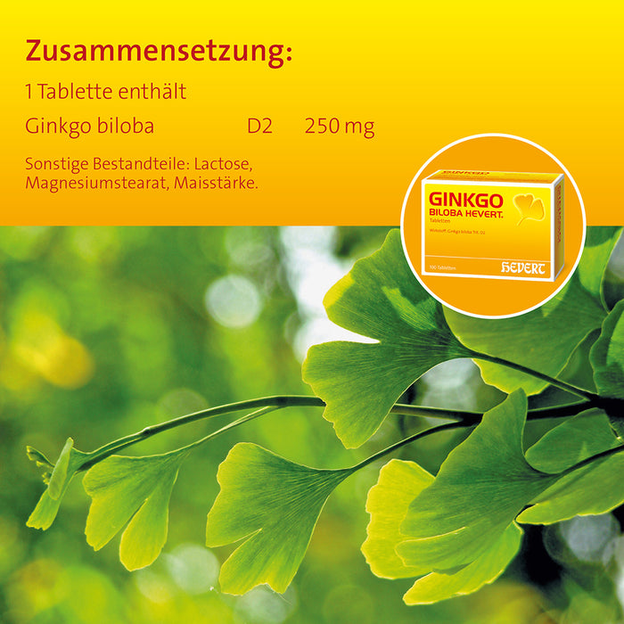 Ginkgo biloba Hevert mit einem Auszug aus erntefrischen Ginkgoblättern, 300 St. Tabletten