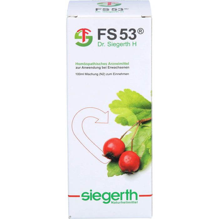 FS 53 Dr. Siegerth H flüssig, 100 ml FLU