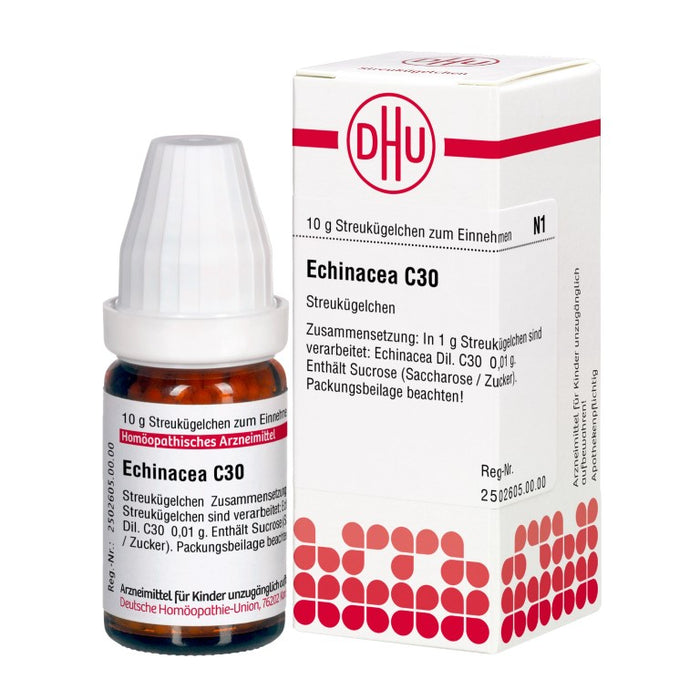 DHU Echinacea C30 Streukügelchen, 10 g Globules