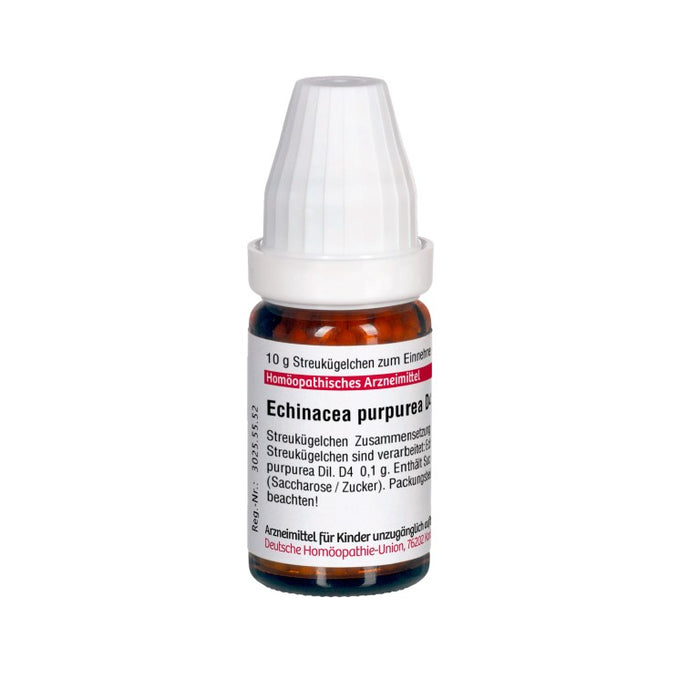 DHU Echinacea purpurea D4 Streukügelchen, 10 g Globules