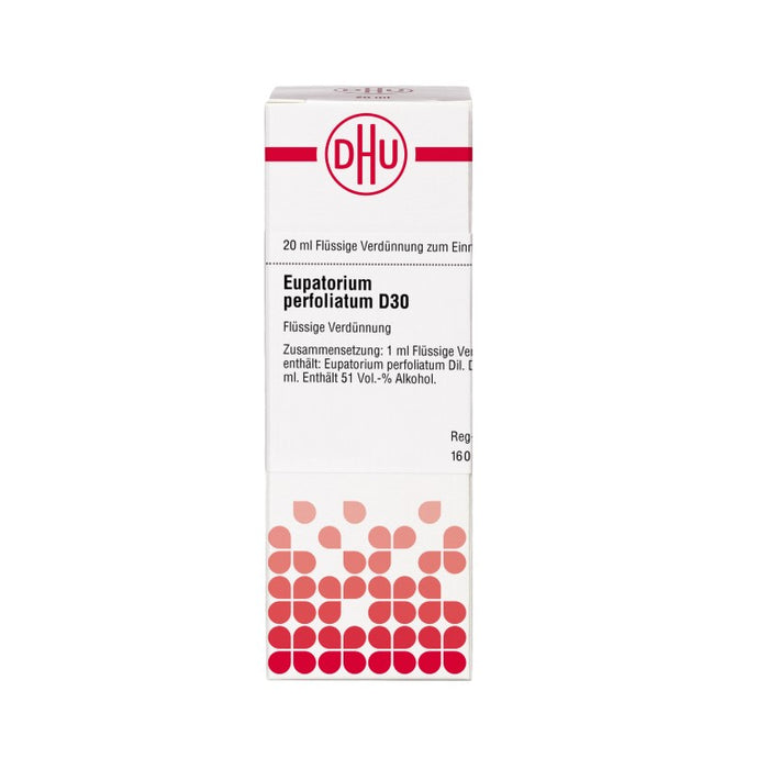 Eupatorium perfoliatum D30 DHU Dilution, 20 ml Lösung