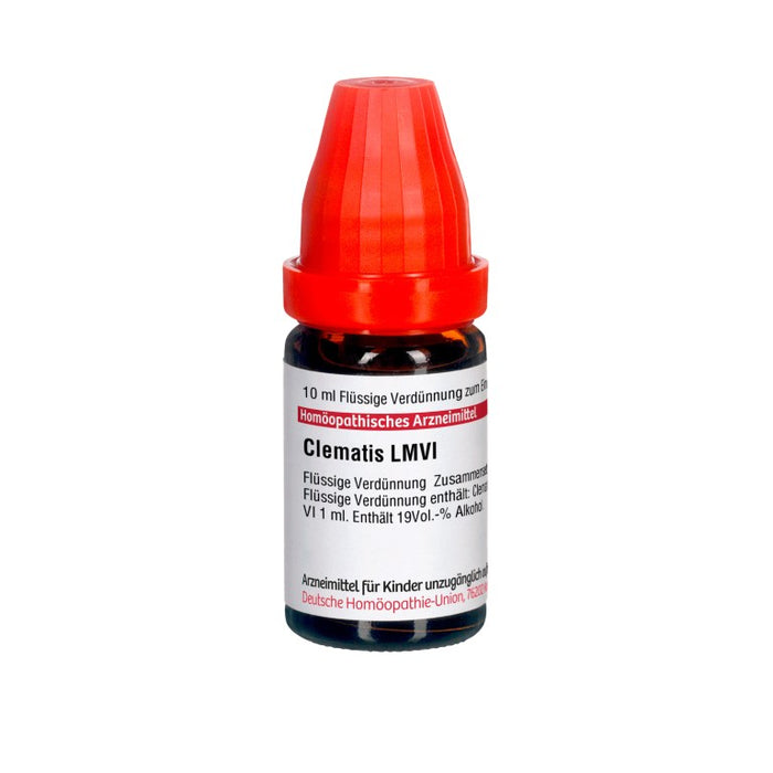 Clematis LM VI DHU Dilution, 10 ml Lösung