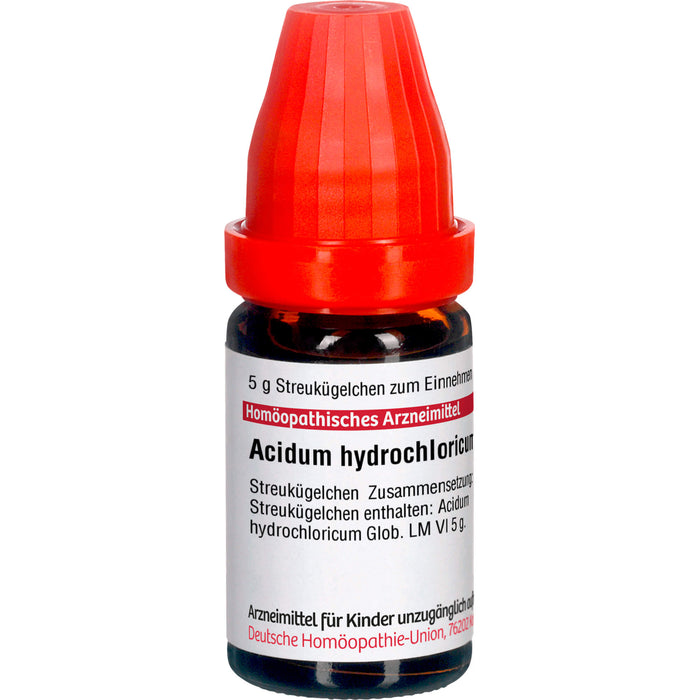 DHU Acidum hydrochloricum LM VI Streukügelchen, 5 g Globuli