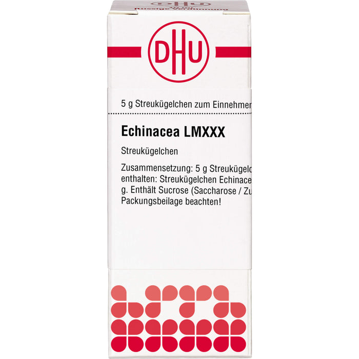 Echinacea HAB LM XXX DHU Globuli, 5 g Globuli