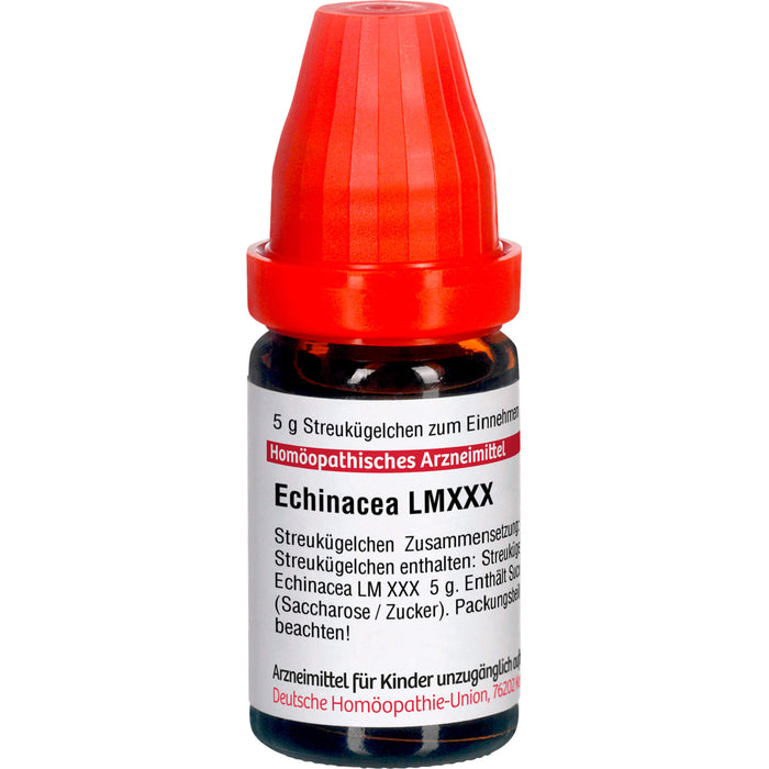 DHU Echinacea HAB LM XXX Streukügelchen, 5 g Globules