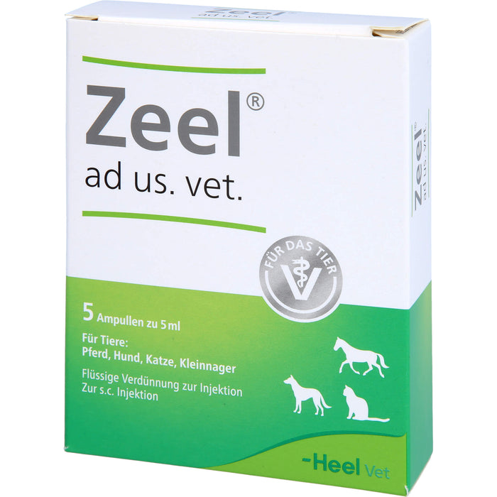 Zeel ad us. vet. Ampullen Flüssige Verdünnung zur Injektion, 5 ml Lösung