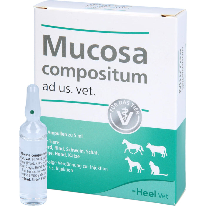 Heel Mucosa compositum ad us. vet. Ampullen, 5 St. Ampullen