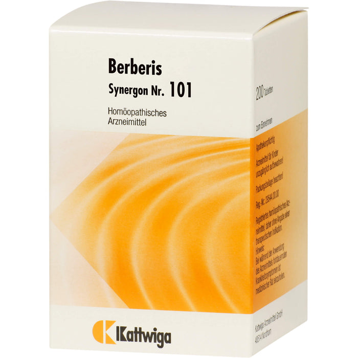 Synergon Komplex 101 Berberis Tbl., 200 St TAB