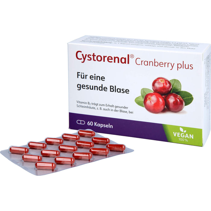 Cystorenal Cranberry plus Kapseln zum Erhalt einer gesunden Blase, 60 St. Kapseln