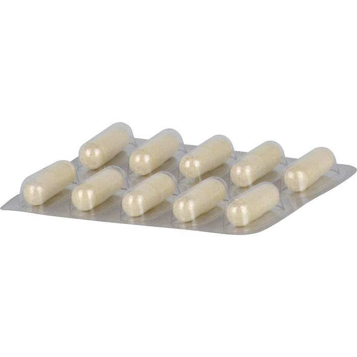 Allvent bei saisonaler allergischer Rhinitis Kapseln, 60 pcs. Capsules