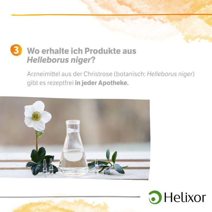 Helleborus niger aquos. D3, 8 pc Ampoules