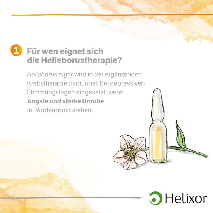 Helleborus niger D 12 aquos., 8 pc Ampoules