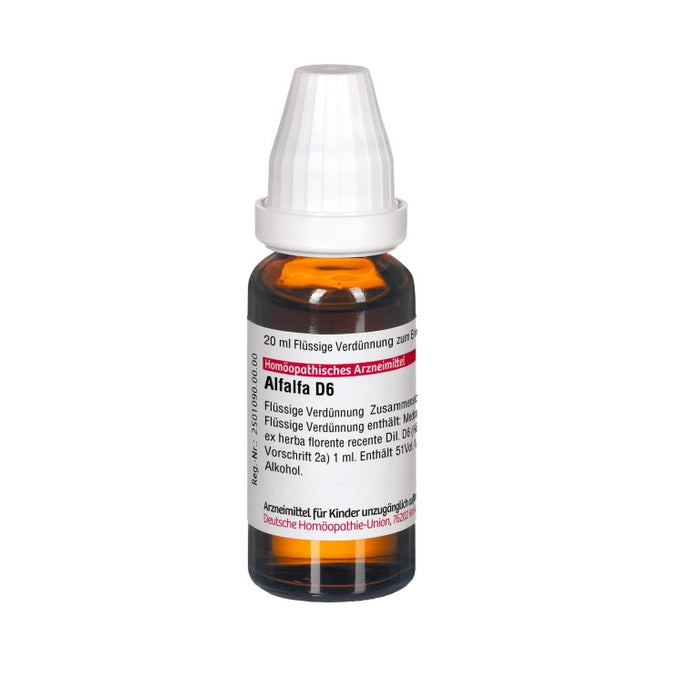 Alfalfa D6 DHU Dilution, 20 ml Lösung