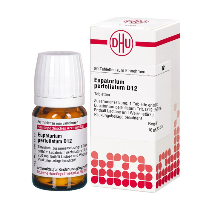 Eupatorium perfoliatum D12 DHU Tabletten, 80 St. Tabletten