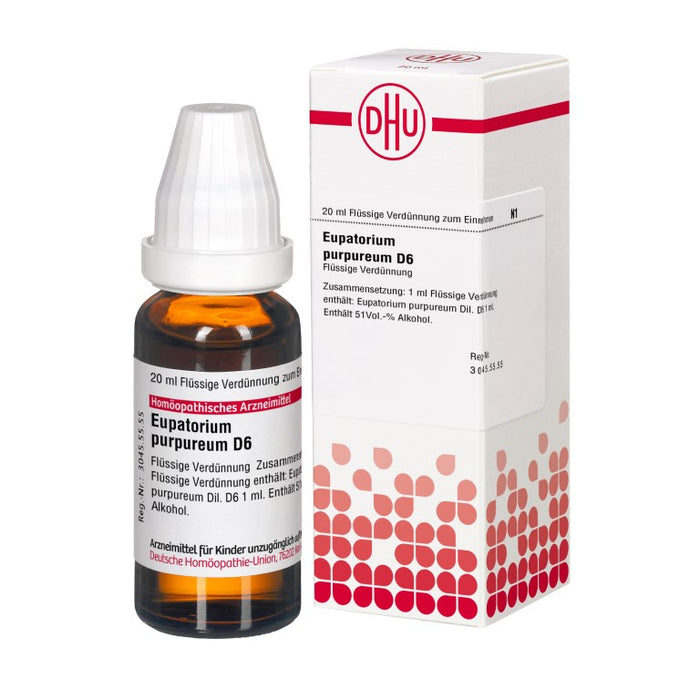 Eupatorium purpureum D6 DHU Dilution, 20 ml Lösung