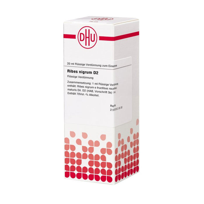 DHU Ribes nigrum D2 Dilution, 20 ml Lösung