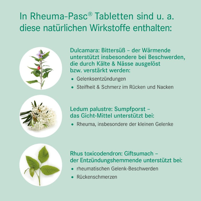 Rheuma-Pasc Tabletten bei rheumatischen Beschwerden, 100 pc Tablettes