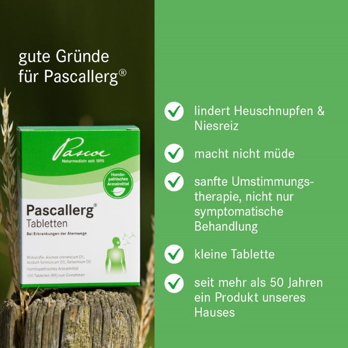 Pascallerg Tabletten  bei Erkrankungen der Atemwege, 100 pcs. Tablets