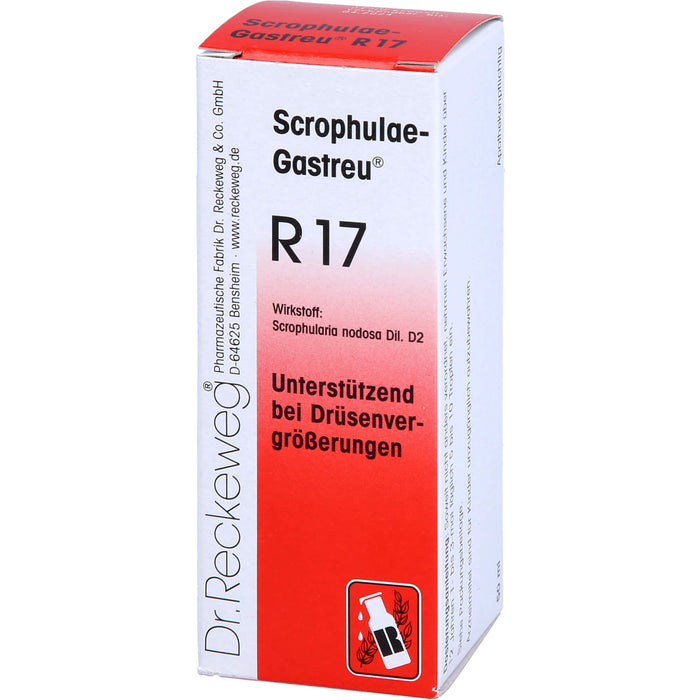 Scrophulae-Gastreu R17 Tropf., 50 ml MIS