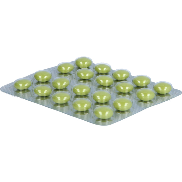 Sinupret forte überzogene Tabletten, 20 pcs. Tablets