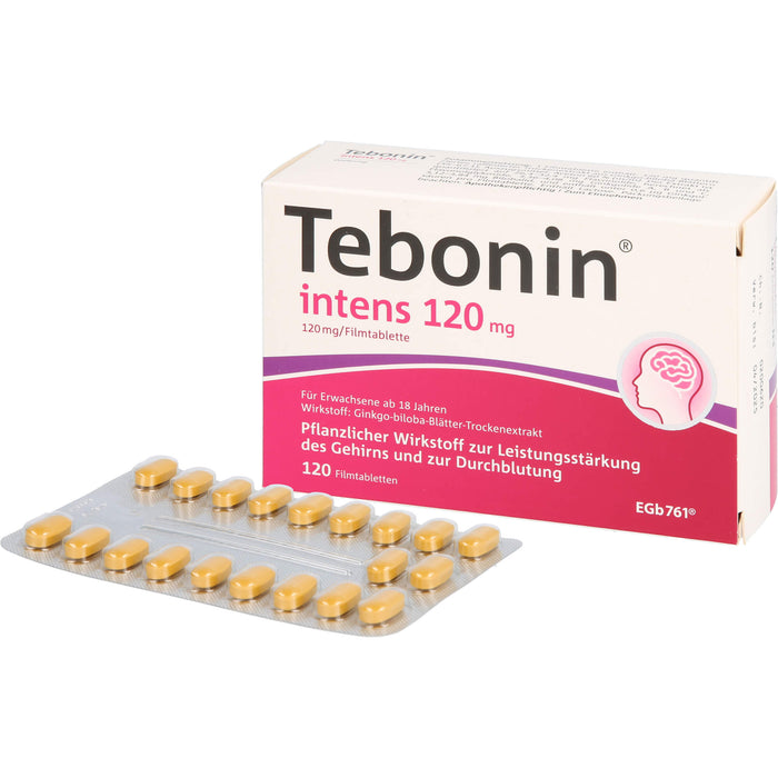 Tebonin intens 120 mg Filmtabletten zur Leistungsstärkung des Gehirns und zur Durchblutung, 120 St. Tabletten