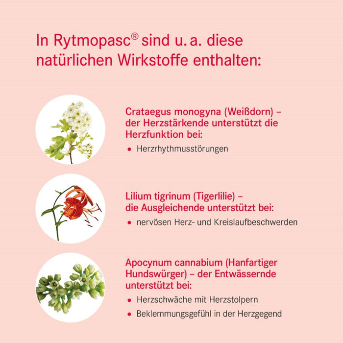 Rytmopasc Tropfen bei Erkrankungen des Herz-Kreislauf-Systems, 100 ml Lösung