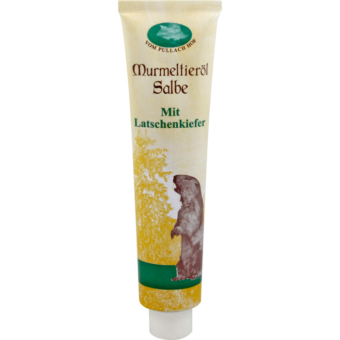 Murmeltieröl Salbe, 200 ml Onguent