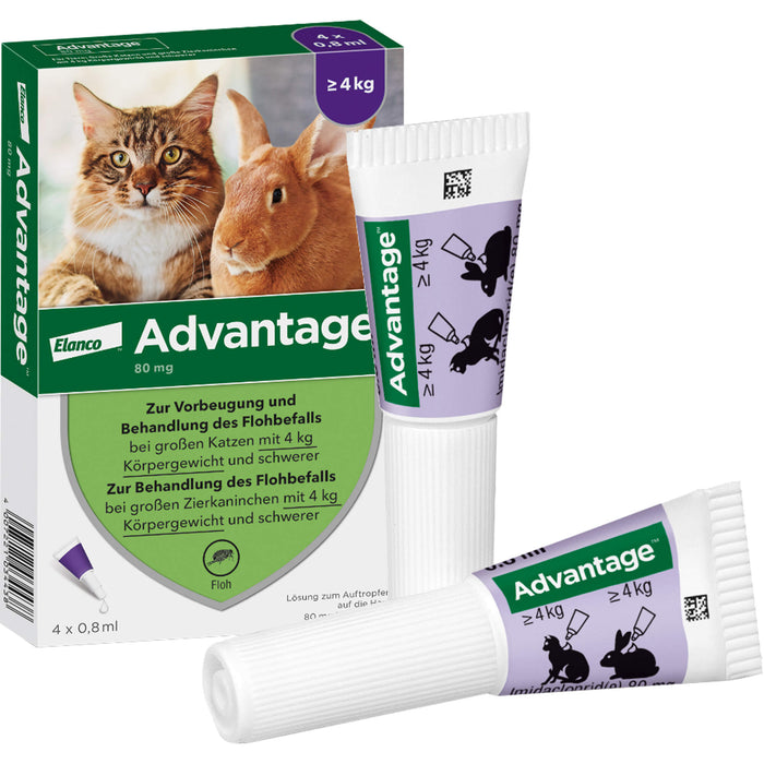 Advantage 80 mg für Katzen und Zierkaninchen über 4 kg Lösung, 3.2 ml Solution