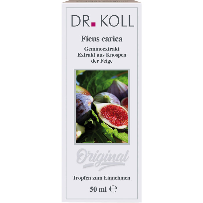 DR. KOLL Ficus Carica Gemmoextrakt Tropfen, 50 ml Lösung