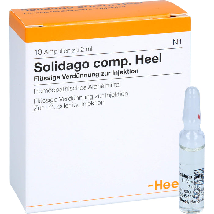 Solidago comp. Heel Ampullen, 10 pc Ampoules