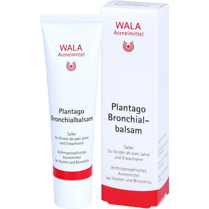 WALA Plantago Bronchialbalsam, 30 g Ointment