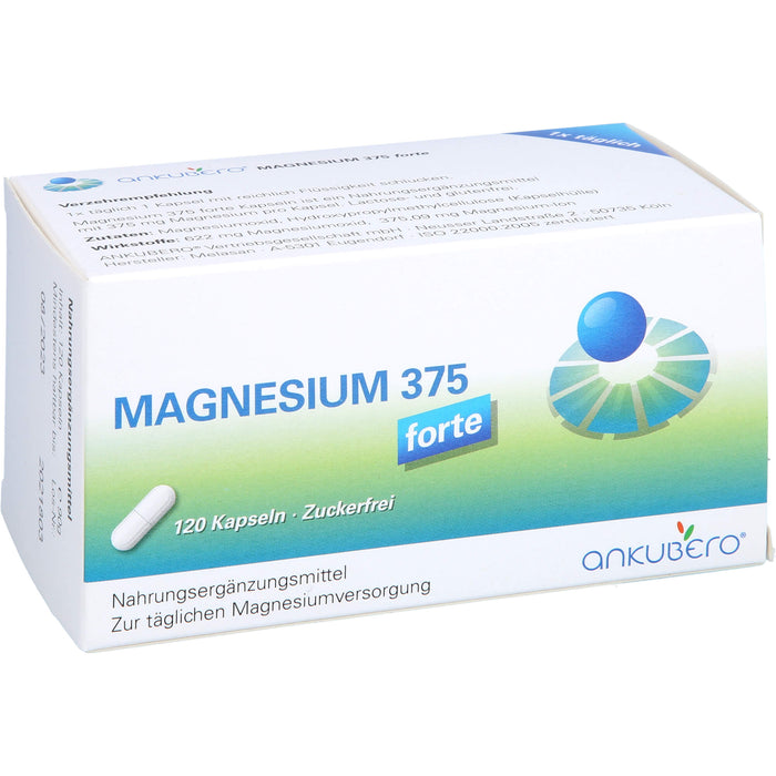 Magnesium 375 Forte, 120 St KAP