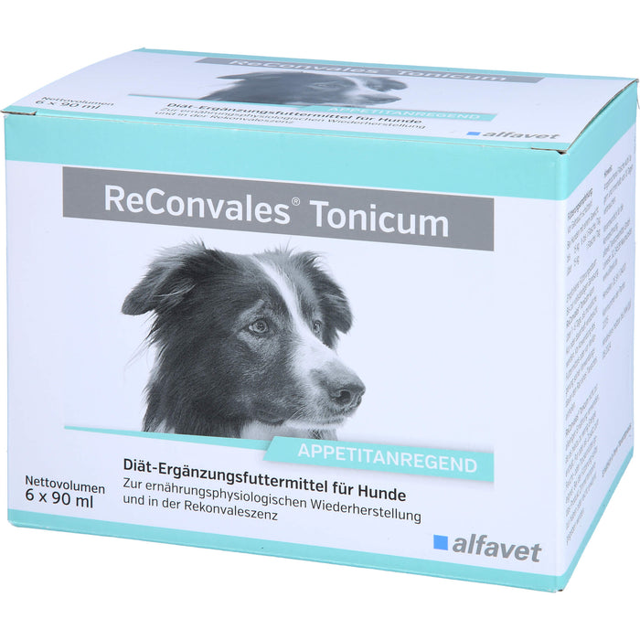 ReConvales Tonicum Hund, 6X90 ml TON